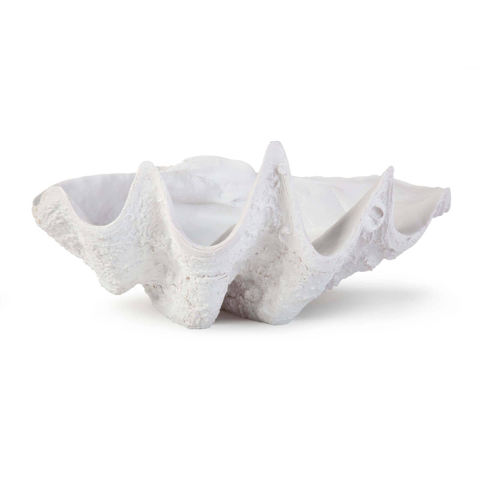 Bimini Clam | Regina Andrew Detroit